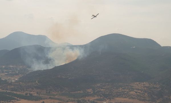 İzmir'de orman yangını: Yine Menderes...
